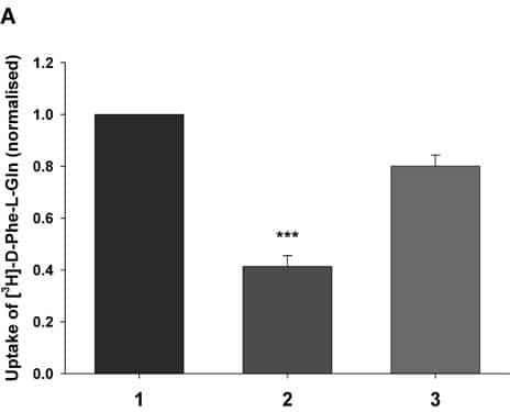 Figure 1A. Uptake of D-Phe-L-Gln normalised to transporter surface expression in Xenopus oocytes expressing (1) PepT1-FLAG (2) PepT1-FLAG and W294F-PepT1 or (3) PepT1-FLAG and W294F-PepT1 when coinjected with PepT1-depleted intestinal RNA (*** p<0.001 Student’s t test n=13).