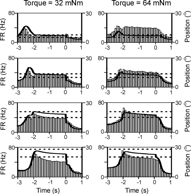 Figure 1. Example responses of an area 3a neuron (bars) aligned to the end of the hold period. Averaged lever position is shown overlain (solid line) together with the target zone (dotted lines).