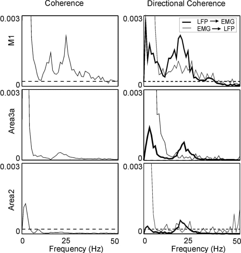 Figure 2. Averaged coherence (left) and DC (right) between LFP and 10 contralateral EMGs.