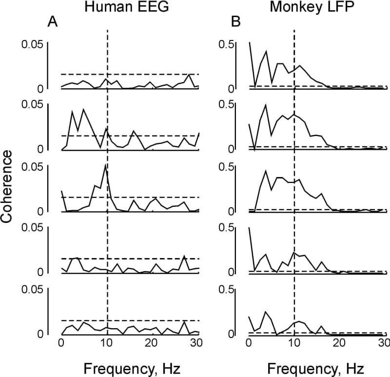 Figure 1. Cortical coherence with finger acceleration. A using sensorimotor EEG in 5 human subjects. B using LFP from 5 different M1 sites in a single monkey.