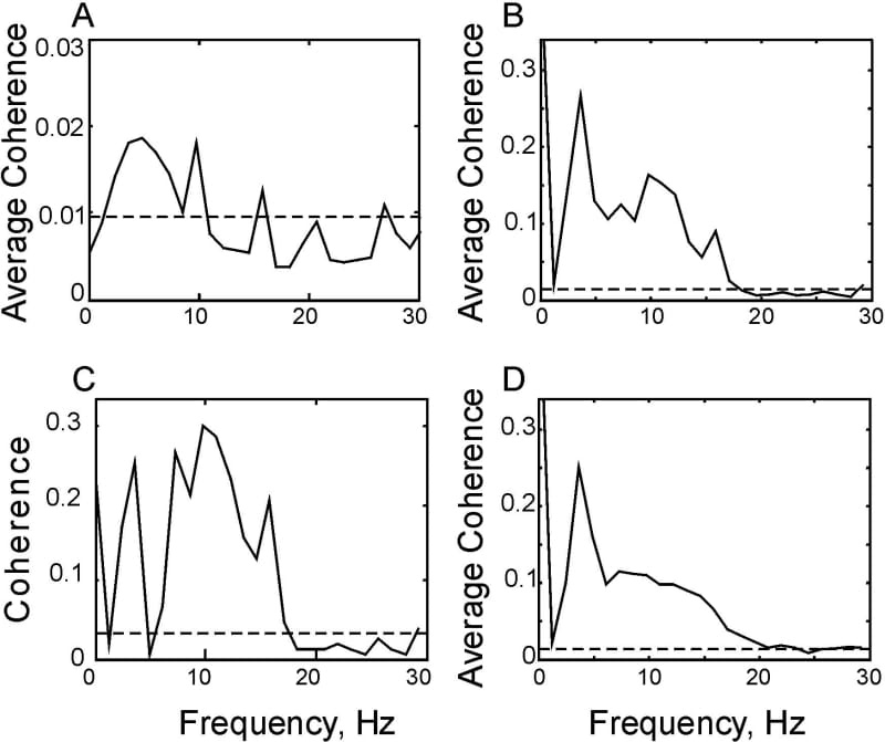 Figure 2. Average coherence spectra with finger acceleration. A using EEG in the human (n=8 subjects); B using LFP in monkey (n=10 sites). C coherence spectrum between finger acceleration and the average of 10 simultaneously recorded LFPs. D average of 15 spectra calculated as in (C) from different recording sessions.