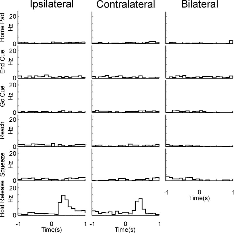 Figure 1. Task-related modulation in firing rate.