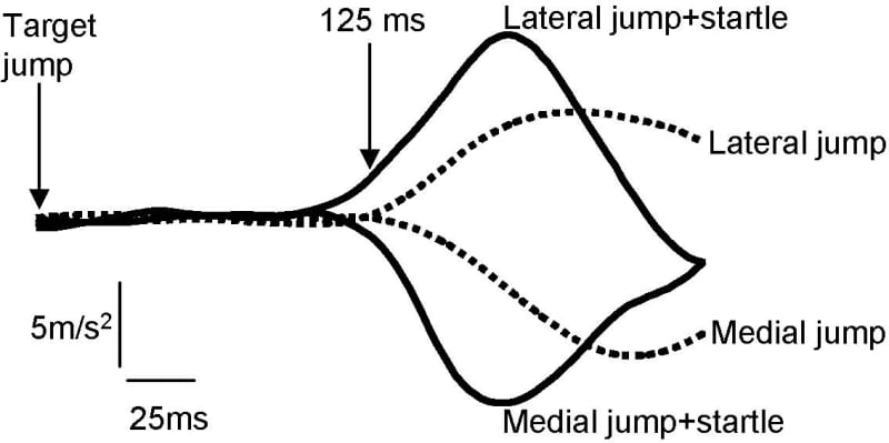 Figure 1. Mean medio-lateral foot acceleration (minus control)