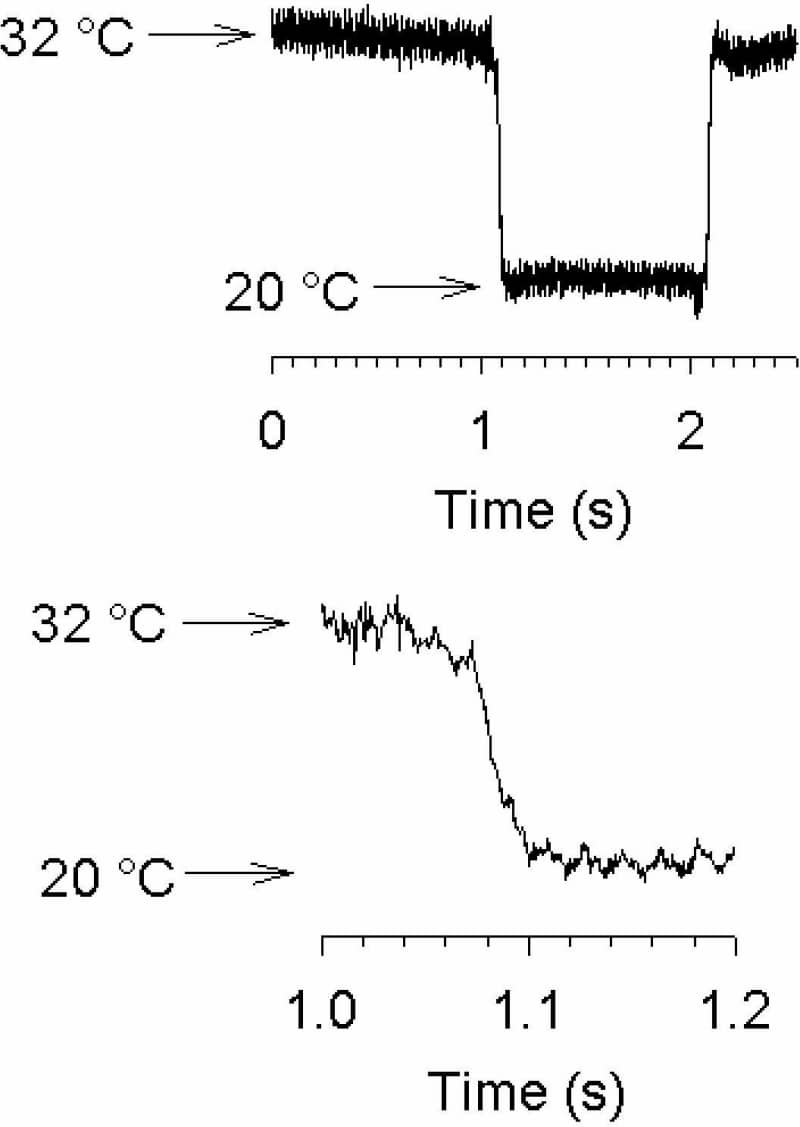 Time course of switching between 32 °C and 20 °C measured using the change in offset potential at the tip of a patch clamp pipette (thermocouples and thermistors are too slow to track the fast switching). The switch from 32 °C to 20 °C is shown on an expanded timebase in the lower panel.