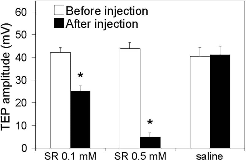 Figure 2. Mean values ± S.E.M. (vertical bars) of TEP amplitudes (mV) recorded before and 20 min after injection of 0.1 or 0.5 mM serotonin (SR) and saline. Number of sensilla tested: 52-96. *Significant difference (p‰¤0.05) between TEP values before and after injection.