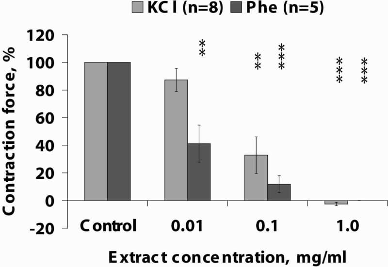 Fig. 1. Relative change in the contraction force of small blood vessels after the incubation in the different concentrations of extract from aerial parts of sweet grass. Contraction was induced by K+-rich (80 mM) solution (KCl) or 30 µM of phenylephryne (Phe). The contraction force before the exposition of blood vessels in the extract is assumed to 100 %. **p<0.01; *** p<0.001.