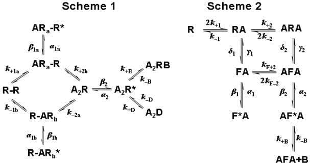 Figure 1. Scheme 1 has a short-lived €˜desensitised€™ state distal to the open state. Scheme 2 includes a change in conformation (\"flip\") before opening. Both schemes include channel block by ACh. R = shut receptor R* or F* = open channel A = ACh B = blocked channel. F = flipped (but shut) conformation.