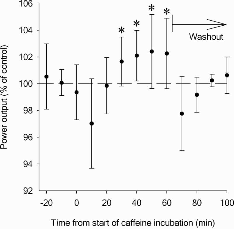 Figure 1. Effect of 70 μM caffeine on mouse extensor digitorum longus muscle power output. Values represent mean ± SD. n = 8. *P<0.05 for post hoc test.