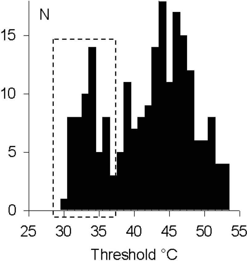Figure 1. Thresholds of chick DRG neurones during 53°C ramps show distinct groups activated by warming (box) or by noxious heat.