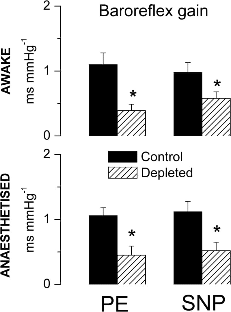 Figure 1. Mean (± s.e.m) baroreflex gain evoked by PE and SNP in control and 5-HT depleted awake and anaesthetised rats (n = 7). * P<0.05 (cf. control).