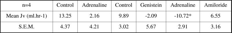 Effect of genistein on LL secretion prior to adrenaline stimulation. *P<0.05 compared to second control slope and the first adrenaline slope using Student paired t-test.