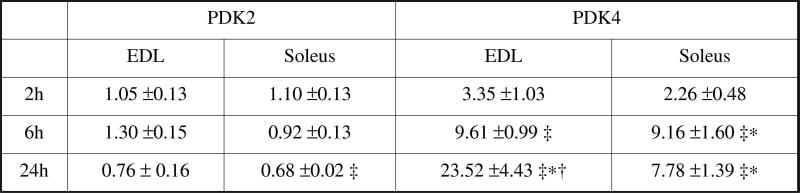 Table 1: Fold changes in PDK2 and PDK4 mRNA expression from the corresponding control value in EDL and soleus muscles of the rat after LPS infusionValues are mean ± S.E. ∗ Significantly different from 2h LPS treated muscle (P<0.05 MANOVA LSD post-hoc). † Significantly different from 6h LPS treated muscle (P<0.05 MANOVA LSD post-hoc). ‡ Significantly different from saline control at corresponding time point (P<0.05 MANOVA).