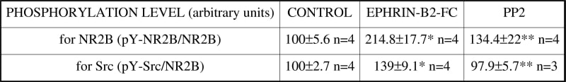 Table 1. *Significantly different from control p<0.05 ANOVA: **difference from control n.s.