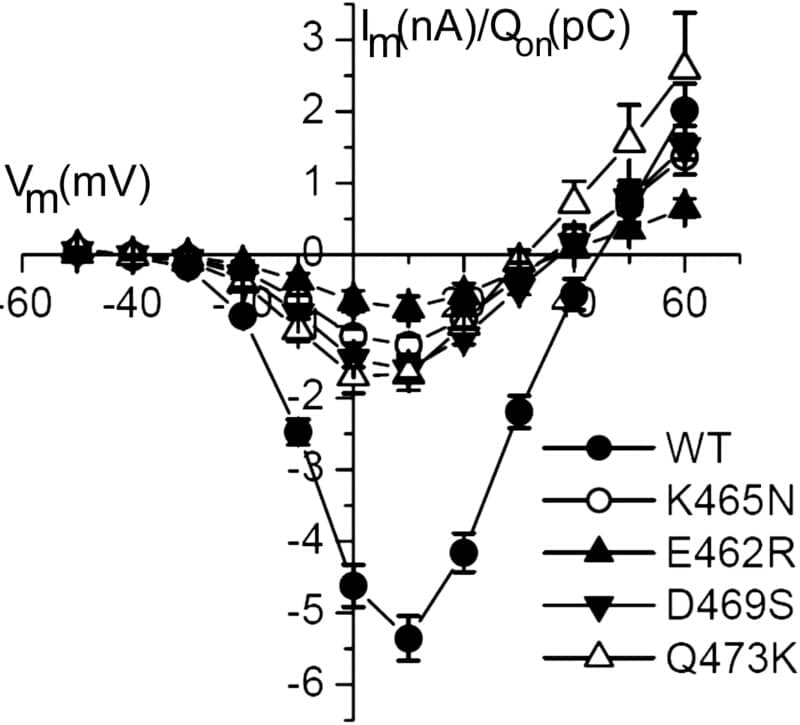 Figure 1: IV curves for the different mutants of alpha1C. Im (nA) was normalized by charge movement (Qon) and Qon (pC) was measured at the onset of a depolarisation pulse to the current reversal potential (2)