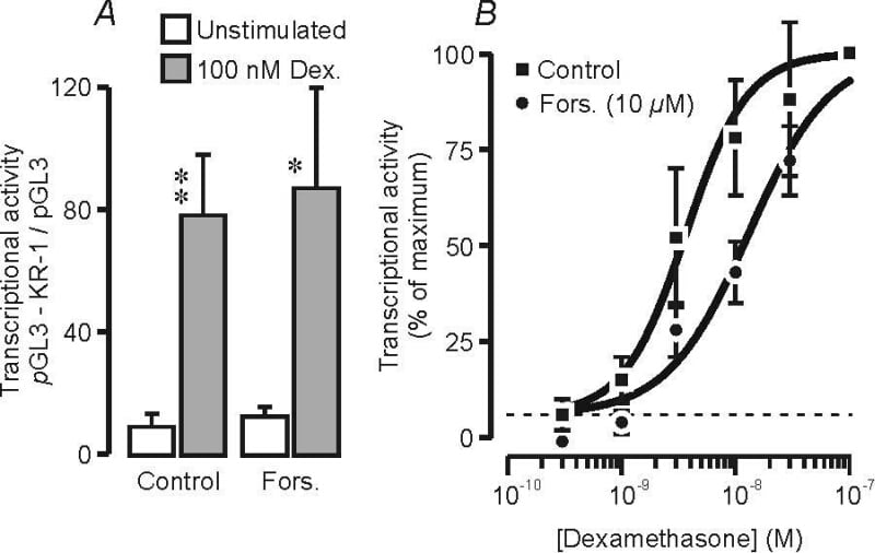 Fig. 1. H441 cells were transfected with the KR-1-pGL3 construct or the empty pGL3 vector and h) before transcriptional activity was assayed (Richard et al. 2004). (A) A strictly paired experimental design (n = 5) was used to explore the effects of forskolin (10 ÂµM) upon transcriptional activity (mean Â± s.e.m) in unstimulated cells and cells exposed to a maximally effective concentration of dexamethasone (100 nM); asterixis denote significant responses to dexamethasone (Studentâ€™s paired t test * P <0.05; ** P < 0.02). (B) Concentration-response curves showing the dexamethasone induced activation of KR-1-pGL3 in control and forskolin-treated (10 ÂµM) cells (n = 5). The sigmoid curves were fitted to the experimental data by least squares regression.