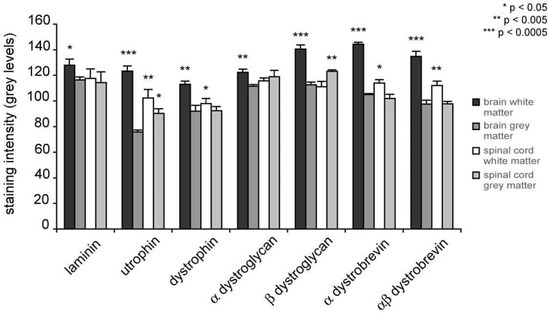 Figure 1. Quantification of laminin and the dystrophin complex proteins immunostaining in the vascular basement membranes of naive mouse brain and spinal cord grey and white matters.