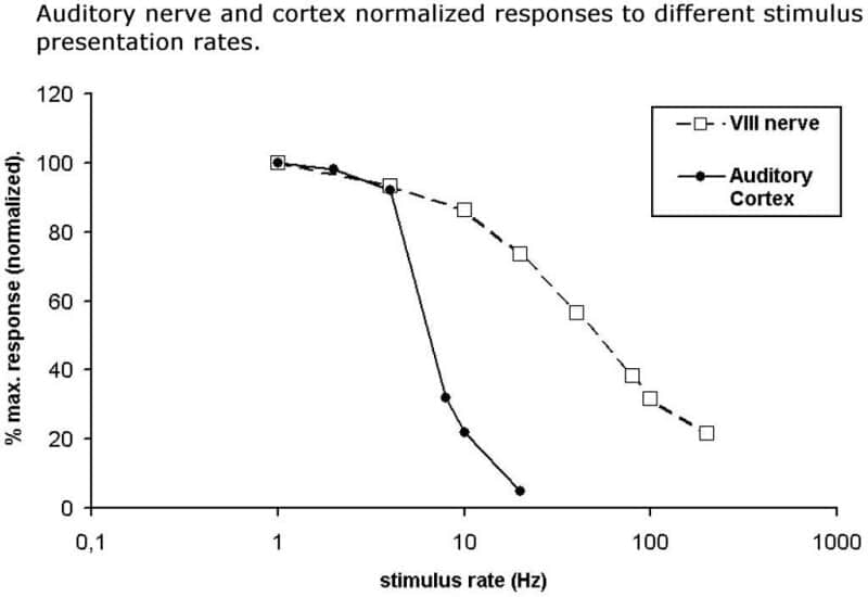 Fig 1. Auditory cortex responses can not follow stimulus rates higher than 10 Hz and decrease with a steep slope. Auditory nerve responses follow stimulus rates higher than 100 Hz.