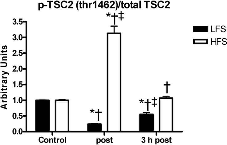 Figure 1 TSC2 phosphorylation at Thr1462/TSC2. (mean ± SEM; n=8) (p<0.05).*Significantly different from control; †significant difference between LFS and HFS; ‡Significantly higher in EDL.