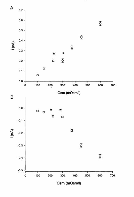 Figure 1. The effect of extracellular osmolarity on NCE current. Osmolarity was changed by the addition of mannitol. n ? 4 in each case. NCE current was measured at +80 mV (A) and -120 mV (B).