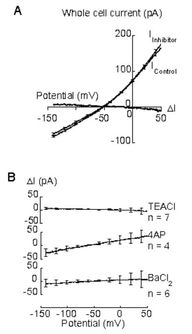 Figure 1. A. Mean pericyte current (from 4 successive ramps) just before (IControl) and 1 min after (IInhibitor) addition of TEACl. Most standard error bars omitted, for clarity. I = I.B. Control - IInhibitor I calculated from currents just before and 0.5 - 3.3 min after addition of TEACl, 4AP or BaCl>2. I is not significantly different from zero (P>0.10, unpaired t test).