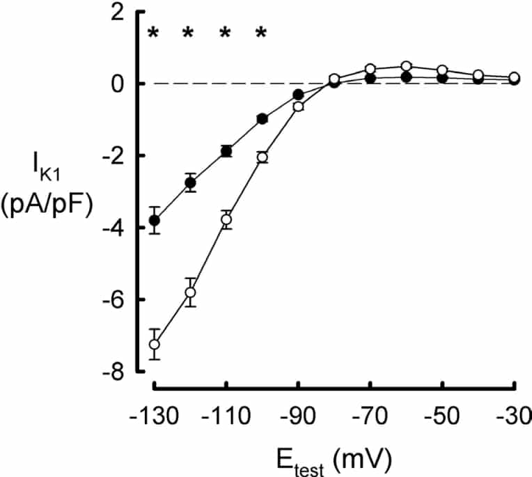 Figure 1. current density in myocytes isolated from young (solidsymbols) and aged (open symbols) sheep. ∗ P