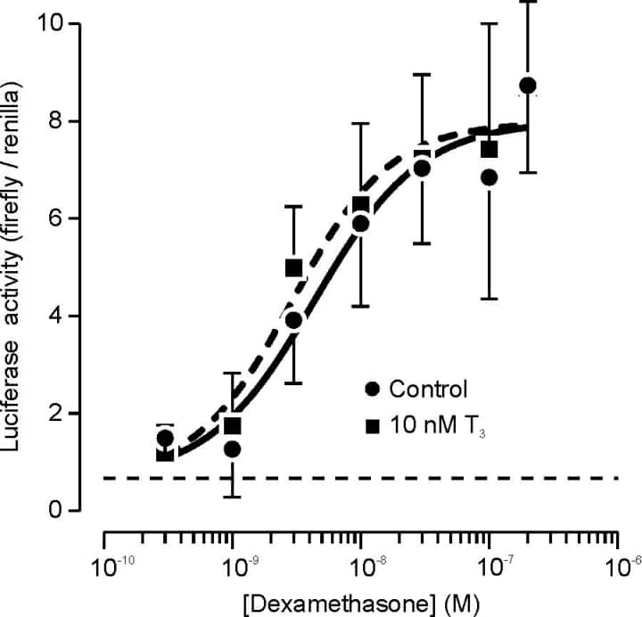 Fig 1. H441 cells were co-transfected (Ca2PO4 precipitation) with (i) a firefly luciferase reporter construct incorporating the 2.2 kb upstream region of the human α-ENaC gene which includes both transcription initiation sites (Sayegh et al., 1999) and (ii) a renilla luciferase construct included to control for transfection efficiency. Activation of the α-ENaC promoter would thus be signalled by formation of firefly luciferase. The plotted data (mean ± s.e.m., n > 4) show responses to dexamethasone (16 h) under control conditions and in the presence of 10 nM T3.The sigmoid curves were fitted to the experimental data by least squares regression whilst the dashed lines shows the transcriptional activity measured in unstimulated cells.Supported by grants from the Wellcome Trust and Tenovus Scotland