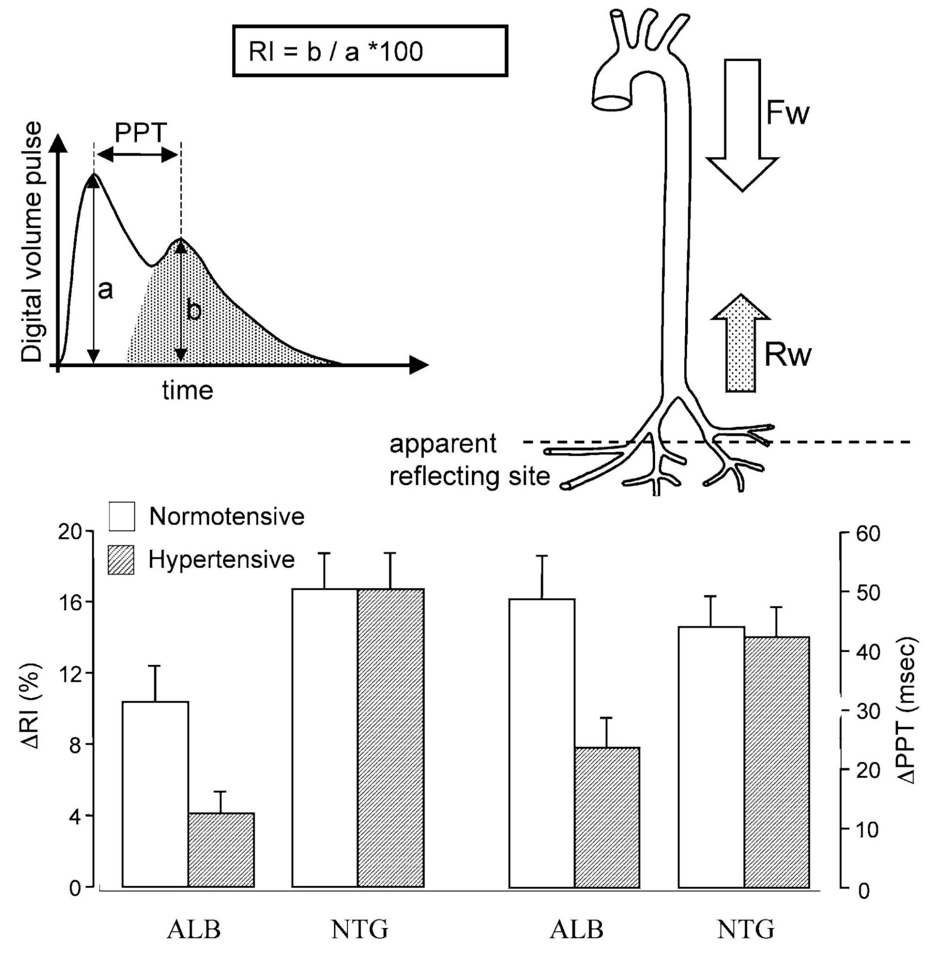 Figure 1. Characteristics of the digital volume pulse. Mean change from baseline in reflection index (DRI) and peak to peak time (DPPT) of the digital volume pulse in response to intravenous infusion of albuterol (ALB 5 µg min-1) and nitroglycerine (NTG, 5 µg min-1) in normotensive (n = 19) and hypertensive subjects (n = 22).