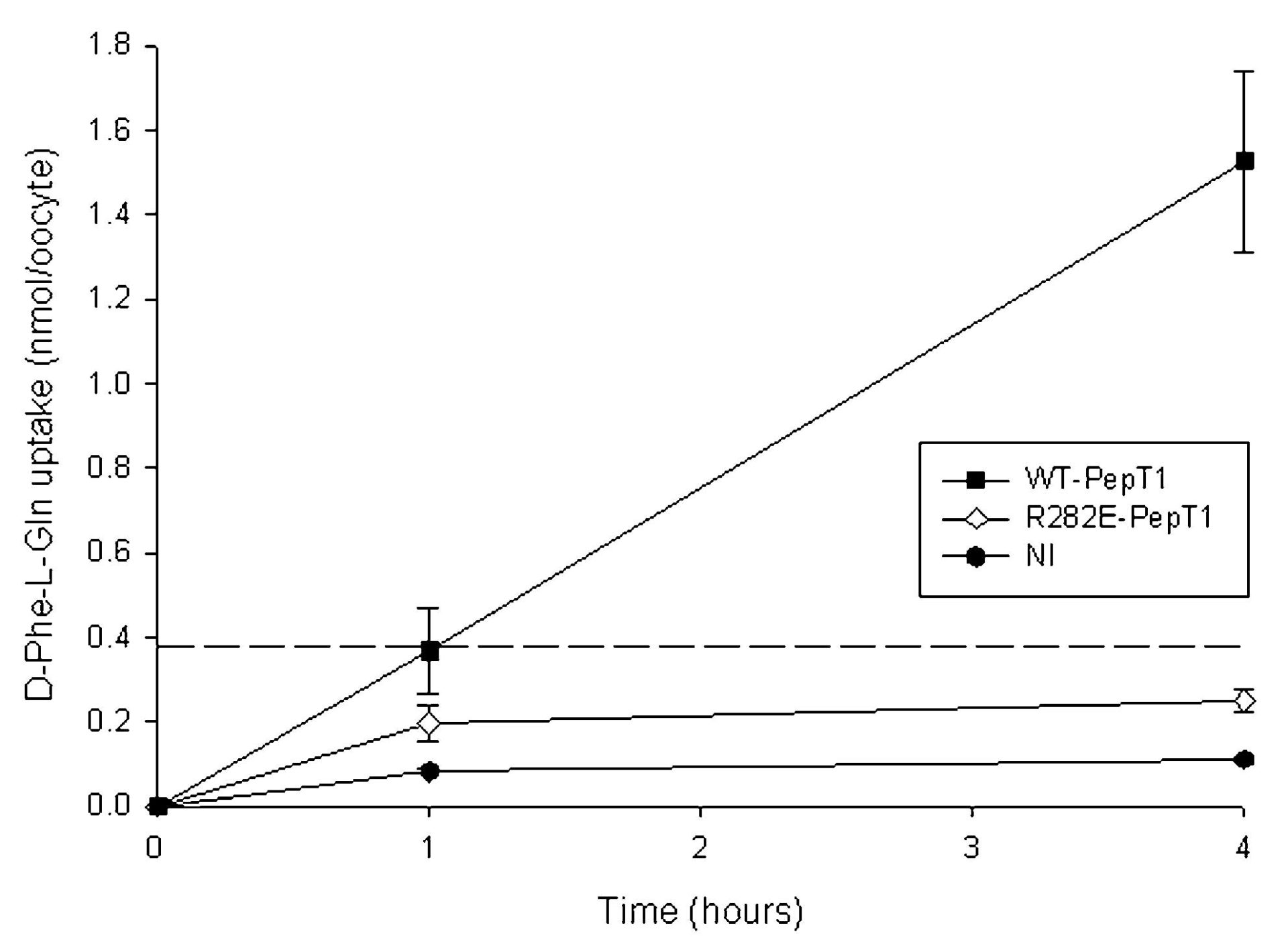Figure 1. Time course of uptake of 3H-D-Phe-L-Gln into Xenopus oocytes expressing wild-type PepT1 (WT-PepT1),R282E-PepT1 or control (NI). No correction has been madefor protein expression level. The dashed line representsequilibration assuming an intracellular volume of 1 µl peroocyte. Each data point is the mean ± S.E.M. of 5 oocytes.