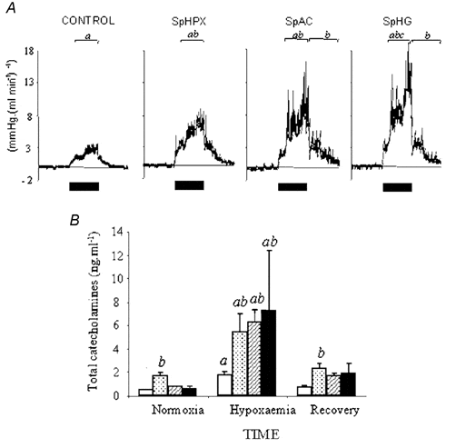 \"Figure 1. Data are means ± S.E.M. of femoral vascular resistance (FVR; mmHg (ml min)-1) for 1 h epochs (bars denote period of hypoxaemia; A), or total plasma catecholamine (B) concentration during 1 h of hypoxaemia in control (open columns), SpHPX (stippled columns), SpAC (hatched columns) or SpHG (filled columns) fetuses. Statistical differences are: a, P < 0.05, normoxia vs. hypoxaemia or recovery; b, P < 0.05, SpAC/SpHG vs. control fetuses; c, P < 0.05, SpHPX vs. SpAC fetuses.\"