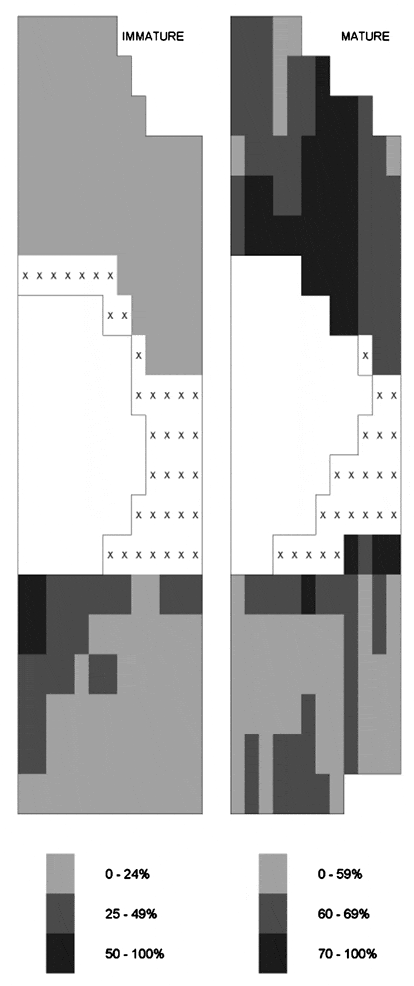 \"Figure 1. Each map shows tracer concentrations (% of maximum value in each map, X = not determined) in the aortic wall around half of an intercostal branch ostium (clear area). Mean aortic flow is from top to bottom. Length of each map is approx. 1 mm.\"