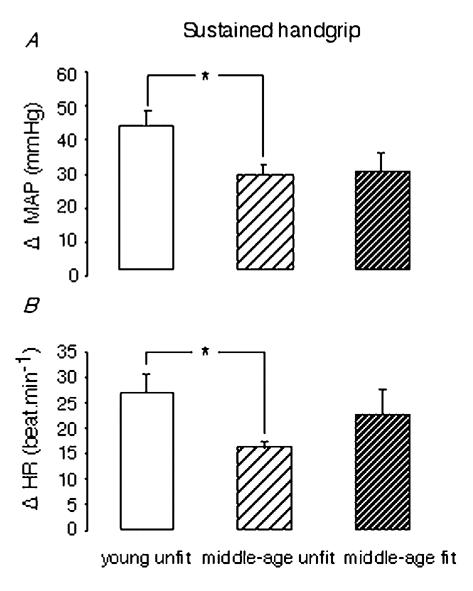 \"Figure 1. A, pressor responses to isometric exercise were reduced in middle-aged subjects. B, the HR increase to exercise was decreased by ageing, but reversed by training. * Denotes a significant difference between groups, P < 0.05.\"