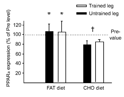 \"Figure 1. PPARα protein expression in muscle after 4 weeks adaptation to FAT or CHO diet in a trained and an untrained leg. *P < 0.05, FAT vs. CHO; †P < 0.05, CHO vs. Pre.\"