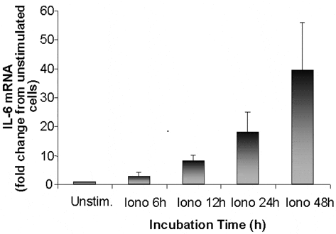Figure 1. Interleukin-6 mRNA in muscle cells stimulated with ionomycin for 6-48 h relative to unstimulated cells. Data are expressed as means ± S.E.M.