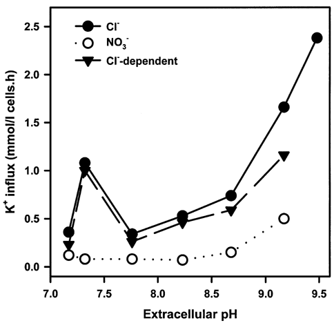 \"Figure 1. Relationship between K+ influx and extracellular pH in normal human red blood cells. K+ influx (mmol (l cells h)-1) was measured ± Cl- to determine the Cl--dependent component of transport, a measure of KCC activity.\"