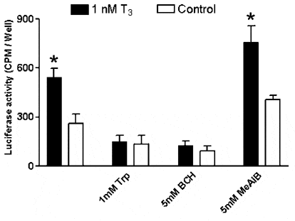 Figure 1. T3-dependent induction of luciferase reporter gene expression in BeWo cells is suppressed by Trp and BCH. The chart shows luciferase activity (mean luminescent CPM/well ± S.E.M. for n = 3 experiments) in cell lysates prepared after 24 h experimental incubation period. *Value significantly different from respective control (unpaired t test; P < 0.05). Similar results were obtained using other BeWo cell passages.