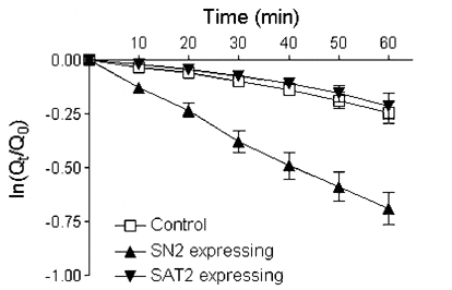 Figure 1. Efflux of injected [3H] Gln from SN2- and SAT2-expressing oocytes in NaCl buffer. Experiment shows progressive loss with time (t) of oocyte [3H] activity (Q) from t = 0; mean ± S.E.M. for 8 oocytes.