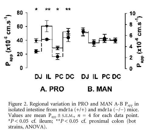 \"Figure 2. Regional variation in PRO and MAN A-B Papp in isolated intestine from mdr1a (+/+) and mdr1a (-/-) mice. Values are mean Papp ± S.E.M., n = 4 for each data point. *P < 0.05 cf. ileum; **P < 0.05 cf. proximal colon (both strains, ANOVA).\"