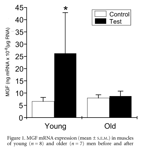 \"Figure 1. MGF mRNA expression (mean ± S.E.M.) in muscles of young (n = 8) and older (n = 7) men before and after weight-lifting exercise. *Significant difference between control and exercise samples (P < 0.05, Wilcoxon's signed rank test).\"
