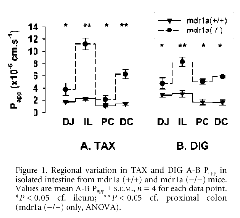 \"Figure 1. Regional variation in TAX and DIG A-B Papp in isolated intestine from mdr1a (+/+) and mdr1a (-/-) mice. Values are mean A-B Papp ± S.E.M., n = 4 for each data point. *P < 0.05 cf. ileum; **P < 0.05 cf. proximal colon (mdr1a (-/-) only, ANOVA).\"