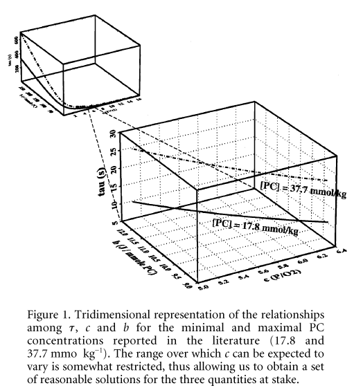 \"Figure 1. Tridimensional representation of the relationships among t, c and b for the minimal and maximal PC concentrations reported in the literature (17.8 and 37.7 mmol kg-1). The range over which c can be expected to vary is somewhat restricted, thus allowing us to obtain a set of reasonable solutions for the three quantities at stake.\"