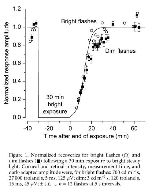 \"Figure 1. Normalized recoveries for bright flashes () and dim flashes ([fillsquare]) following a 30 min exposure to bright steady light. Corneal and retinal intensity, measurement time, and dark-adapted amplitude were, for bright flashes: 700 cd m-2 s, 27 000 troland s, 5 ms, 125 mV; dim: 3 cd m-2 s, 120 troland s, 15 ms, 45 mV; ± S.E.M., n = 12 flashes at 5 s intervals.\"