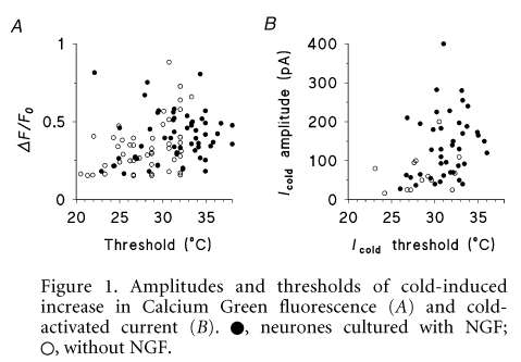 \"Figure 1. Amplitudes and thresholds of cold-induced increase in Calcium Green fluorescence (A) and cold-activated current (B). [fillcircle], neurones cultured with NGF; , without NGF.\"