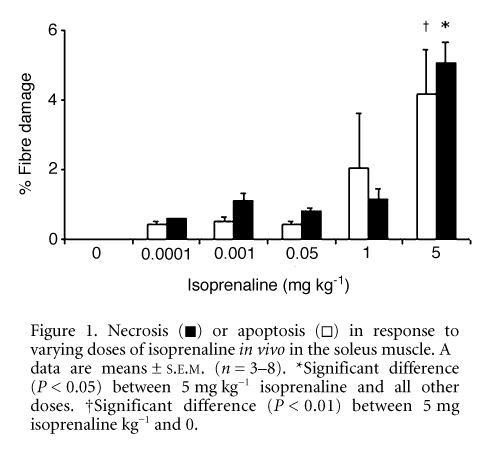 Figure 1. Necrosis ([fillsquare]) or apoptosis ([opensquare]) in response to varying doses of isoprenaline in vivo in the soleus muscle. All data are means ± S.E.M. (n = 3Ð8). *Significant difference (P < 0.05) between 5 mg kg-1 isoprenaline and all other doses. †Significant difference (P < 0.01) between 5 mg isoprenaline kg-1 and 0.
