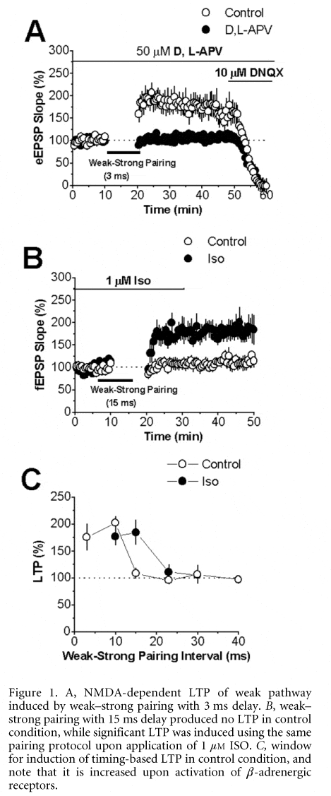 \"Figure 1. A, NMDA-dependent LTP of weak pathway induced by weakÐstrong pairing with 3 ms delay. B, weakÐ strong pairing with 15 ms delay produced no LTP in control condition, while significant LTP was induced using the same pairing protocol upon application of 1 mM ISO. C, window for induction of timing-based LTP in control condition, and note that it is increased upon activation of β-adrenergic receptors.\"