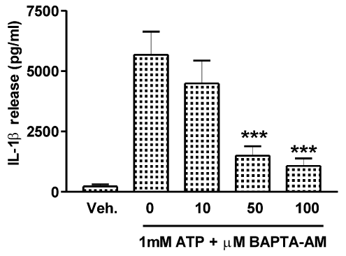 \"Figure 1. Effects of BAPTA-AM on ATP-induced processing and release of IL-1β from LPS-primed macrophages. Dose-dependent inhibition of IL-1β release by BAPTA-AM as measured by ELISA. The data are shown as means ± S.E.M. for triplicate determinations of three separate experiments. Statistical significance was assessed by one-way ANOVA followed by the Newman-Keuls multiple comparison tests; ***P < 0.001.Veh, vehicle.\"
