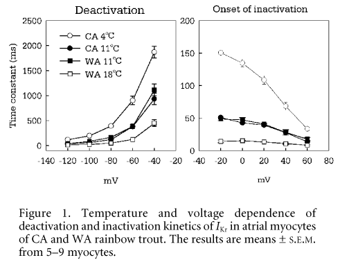 Figure 1. Temperature and voltage dependence of deactivation and inactivation kinetics of IKr in atrial myocytes of CA and WA rainbow trout. The results are means ± S.E.M. from 5-9 myocytes.