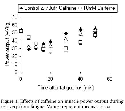Figure 1. Effects of caffeine on muscle power output during recovery from fatigue. Values represent means ± S.E.M.