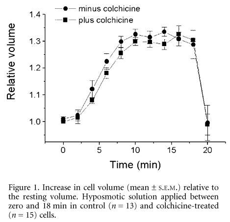 Figure 1. Increase in cell volume (mean ± S.E.M.) relative to the resting volume. Hyposmotic solution applied between zero and 18 min in control (n = 13) and colchicine-treated (n = 15) cells.