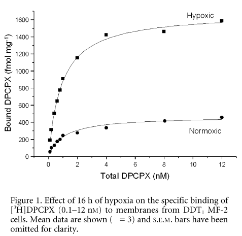 Figure 1. Effect of 16 h of hypoxia on the specific binding of [3H]DPCPX (0.1-12 nM) to membranes from DDT1 MF-2 cells. Mean data are shown (n = 3) and S.E.M. bars have been omitted for clarity.