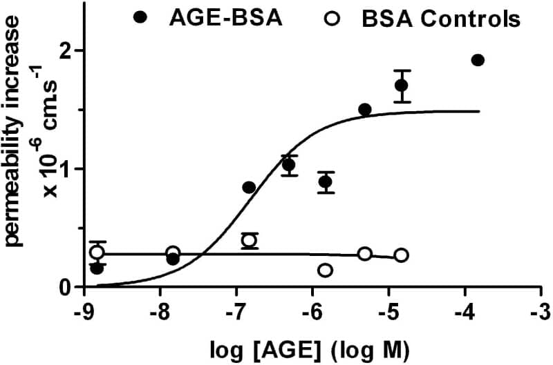 Figure 1. Permeability dose response curve for AGE-BSA and non-glycated control.